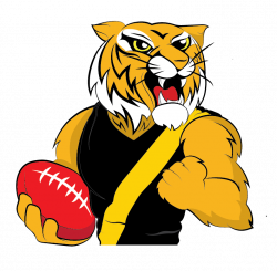 2017 AFL Pre-Season Preview Richmond Tigers