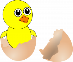 Funny Chick Cartoon Newborn Coming Out from the Egg by ...