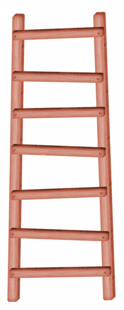Browsing Ladder Category - NG Design