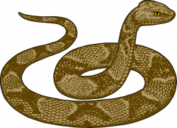 Clipart - Copperhead Snake