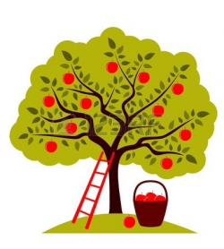 Stock Vector | Images | Apple tree, Cherry fruit tree, Plum tree