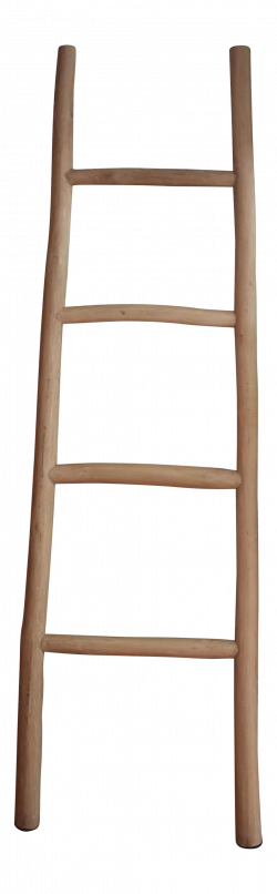 29++ Amazing Wooden Ladder