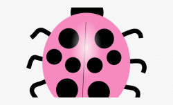 Pink Ladybug Cliparts - Clipart Of Different Color Ladybugs ...