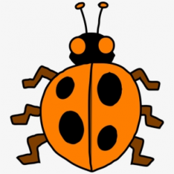Ladybug Clipart 10 Orange - การ์ตูน สัตว์ สี ส้ม, Cliparts ...