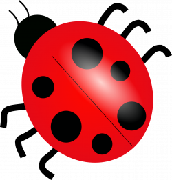 Ladybug Clip Art Free Download | Clipart Panda - Free Clipart Images