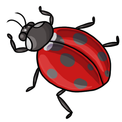 20 FREE Ladybug Clip Art Drawings and Colorful Images
