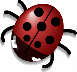Ladybug 2 Clip Art at Clker.com - vector clip art online, royalty ...