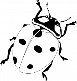 28++ Cool Ladybug Clip Art Black And