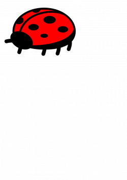 Ladybug | Free Stock Photo | Illustration of a ladybug isolated on a ...