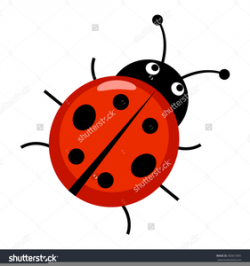 Cute Cartoon Ladybug Clipart | Free Images at Clker.com ...