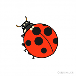 Ladybug Clipart Free Picture｜Illustoon