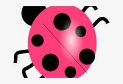 Ladybug Clipart Colored - Clip Art - 640x480 PNG Download ...