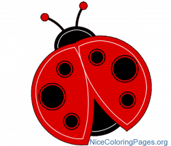 Ladybug clipart | Nice Coloring Pages for Kids