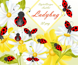 Ladybug clipart, Ladybug illustration, Bug clipart, Cute ladybug, garden  clipart, Daisy clipart, watercolor clipart, commercial use