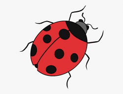 Drawing Bugs Pretty - Ladybug Drawing #2141251 - Free ...