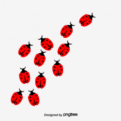 Ladybug, Bug, Insect PNG Transparent Clipart Image and PSD ...