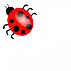 Ladybug Clipart at GetDrawings.com | Free for personal use Ladybug ...