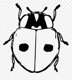 Ladybird Beetle Black And White Drawing Seven-spot - Cartoon ...