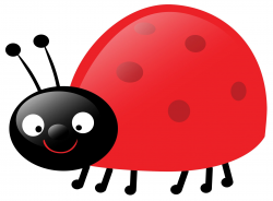 Ladybug | LADYBUG, LADYBUG | Ladybug, Clip art, Ladybug garden
