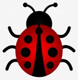 Ladybug Clipart PNG, Transparent Ladybug Clipart PNG Image ...