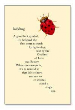 Ladybug--a good luck symbol, it's believed she first came to ...