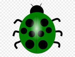 Clipart Black And White Green Ladybug Clip Art - Lady Bug ...