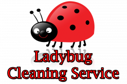 Ladybug Cleaning Service Of Tampa Bay Home Page