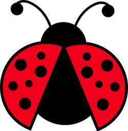 Free Ladybug Cliparts, Download Free Clip Art, Free Clip Art ...
