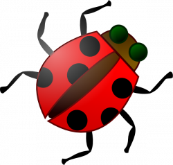 Cartoon Ladybug Clip Art at Clker.com - vector clip art online ...