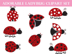Ladybug Clipart | Commercial Use Whimsical Art | Love Bug ...