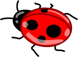 Free Ladybird Cliparts, Download Free Clip Art, Free Clip ...