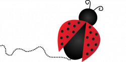 Ladybugs PNG Transparent Images | PNG All