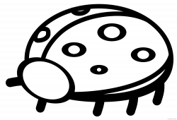 Ladybug Outline Clipart - ClipartBlack.com