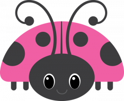 Joaninhas - Minus | Joaninhas | Pinterest | Lady bugs, Pink ladybug ...