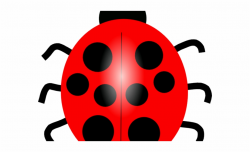 Lady Beetle Clipart Red Animal - Blue Ladybug Clipart ...