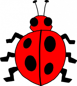 Cartoon Ladybug Clip Art at Clker.com - vector clip art online ...