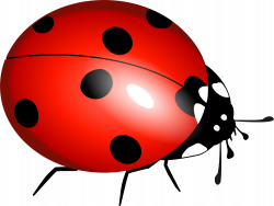 Clipart - ladybug, ladybirds, boruÅ¾Ä—
