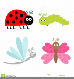 Small Ladybug Clipart | Free Images at Clker.com - vector ...