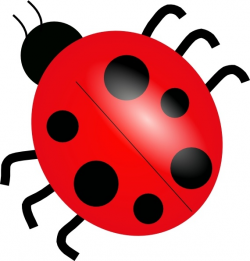 Ladybug clip art Free vector in Open office drawing svg ...