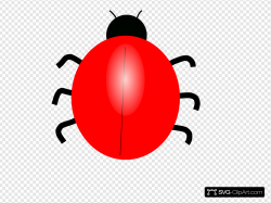 Ladybug Clip art, Icon and SVG - SVG Clipart