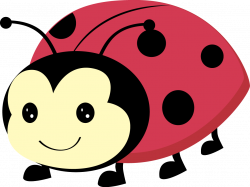 Ladybird Background PNG | PNG Mart