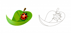 Coccinella septempunctata - Cartoon painted leaves ladybird artwork ...