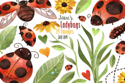 Watercolor Ladybug Clipart