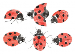 6 Watercolor Ladybug Clipart Set, Instant Download