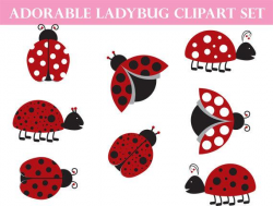 Ladybug Clipart | Commercial Use Whimsical Art | Love Bug Garden Clip Art  Instant Download | Animal Illustration Baby Shower Clipart