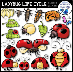 Ladybug Life Cycle Clip Art - Whimsy Workshop Teaching