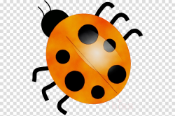 Ladybug clipart - Insect, Yellow, Ladybug, transparent clip art