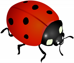 Ladybug Clip Art Image | Gallery Yopriceville - High-Quality Images ...
