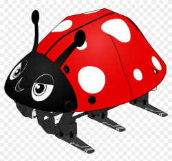 Ladybugs Clipart Body - Insect - Free Transparent PNG ...