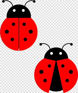 Drawing Ladybird Free content , Cartoon Ladybug transparent ...